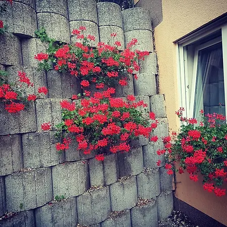 科布伦茨公寓 公寓