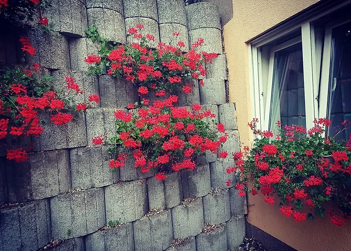 Apartment Koblenz Lägenhet